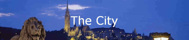 The City